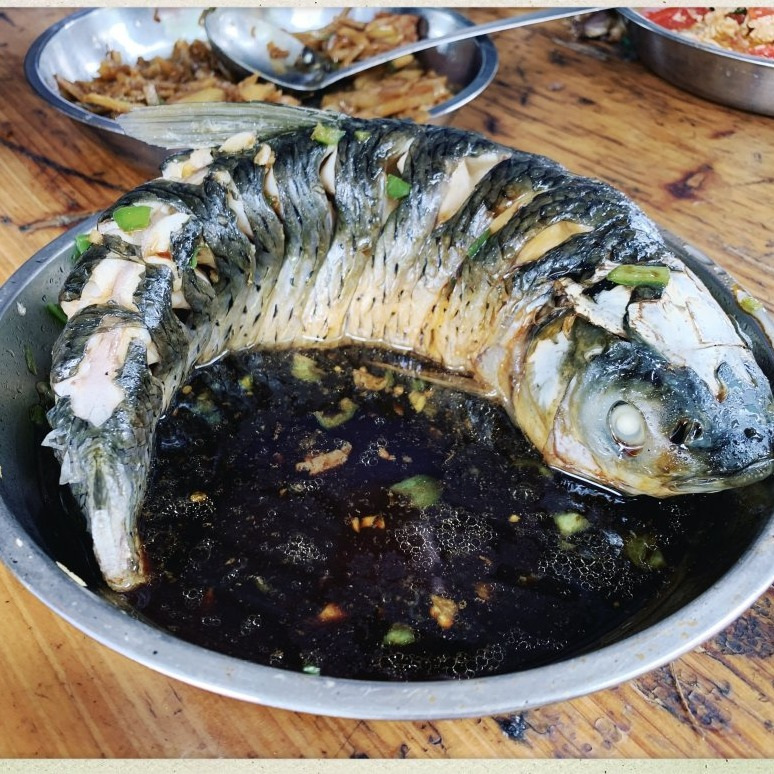 清蒸草魚(yú)